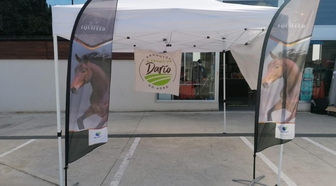 posto no campionato galego "andadura"